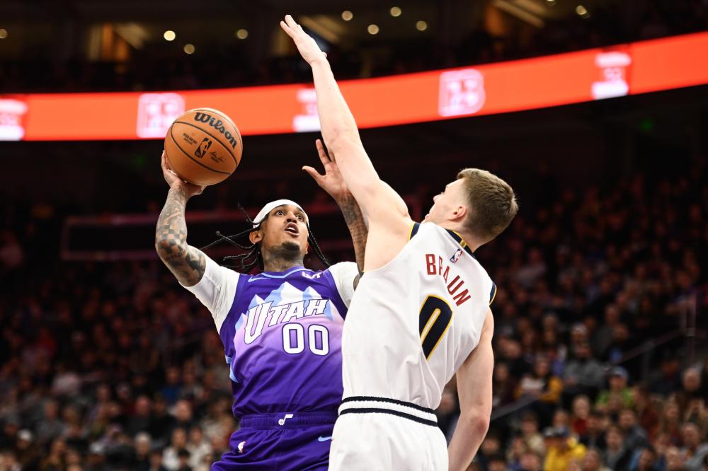 篮稳定性 篮稳定性