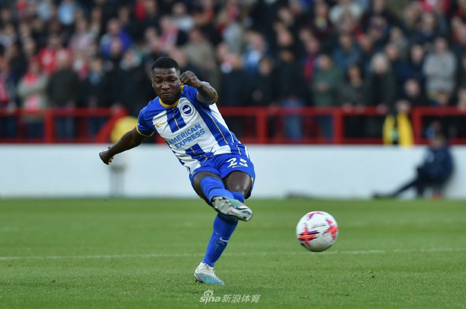 夏窗狂欢背 夏窗狂欢背